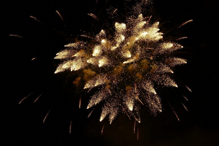 sylvester, fireworks, new year's day-1125786.jpg